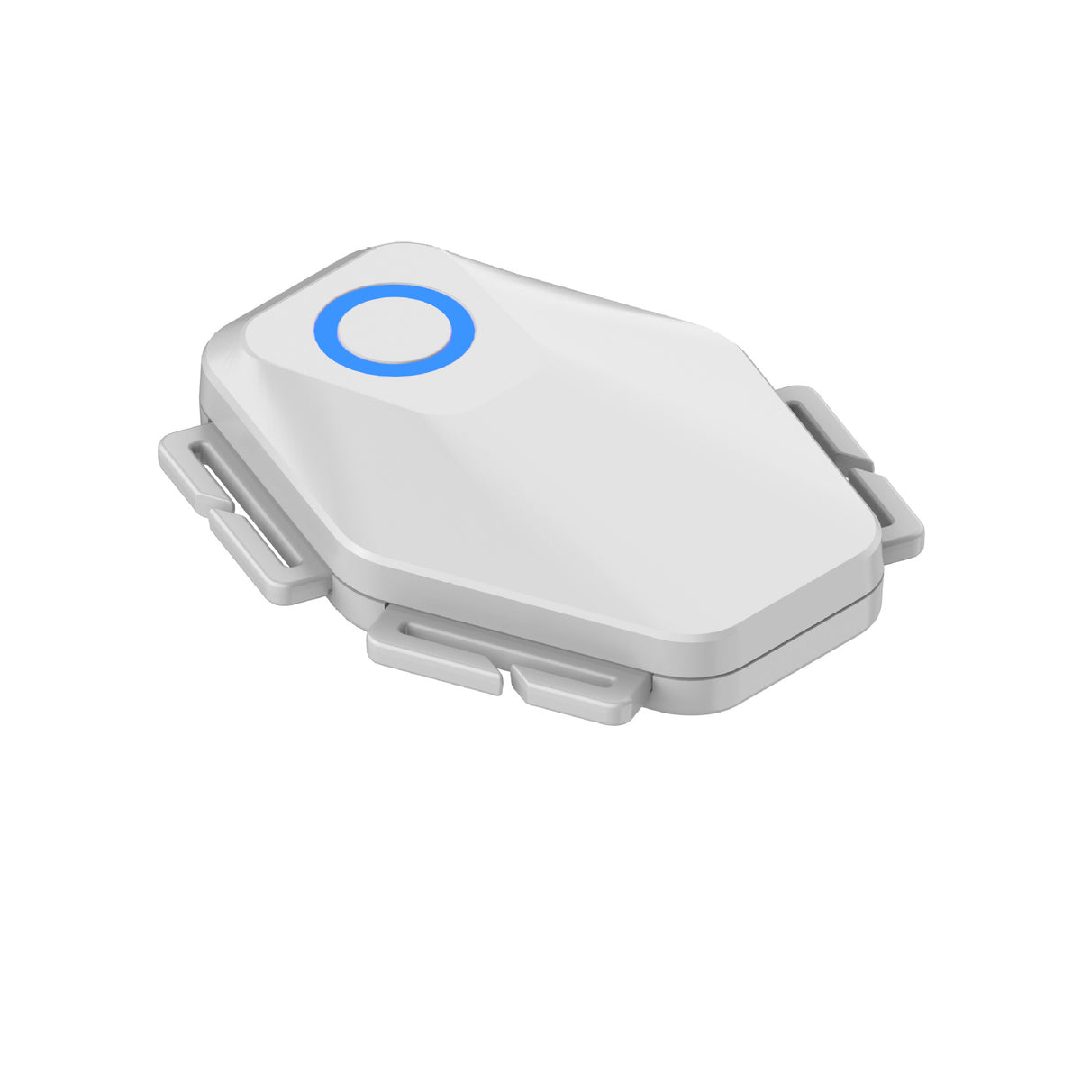 Student/Adult Smart Humpback